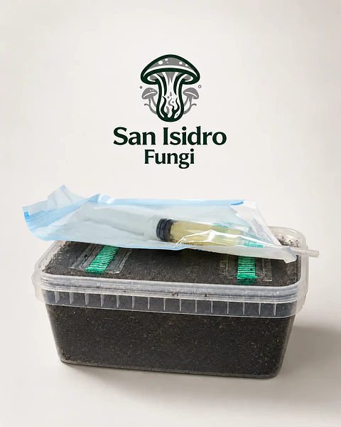Mycebox Mayorista para Grow Shops — San Isidro