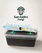 Mycebox Mayorista para Grow Shops — San Isidro - Miniatura 1