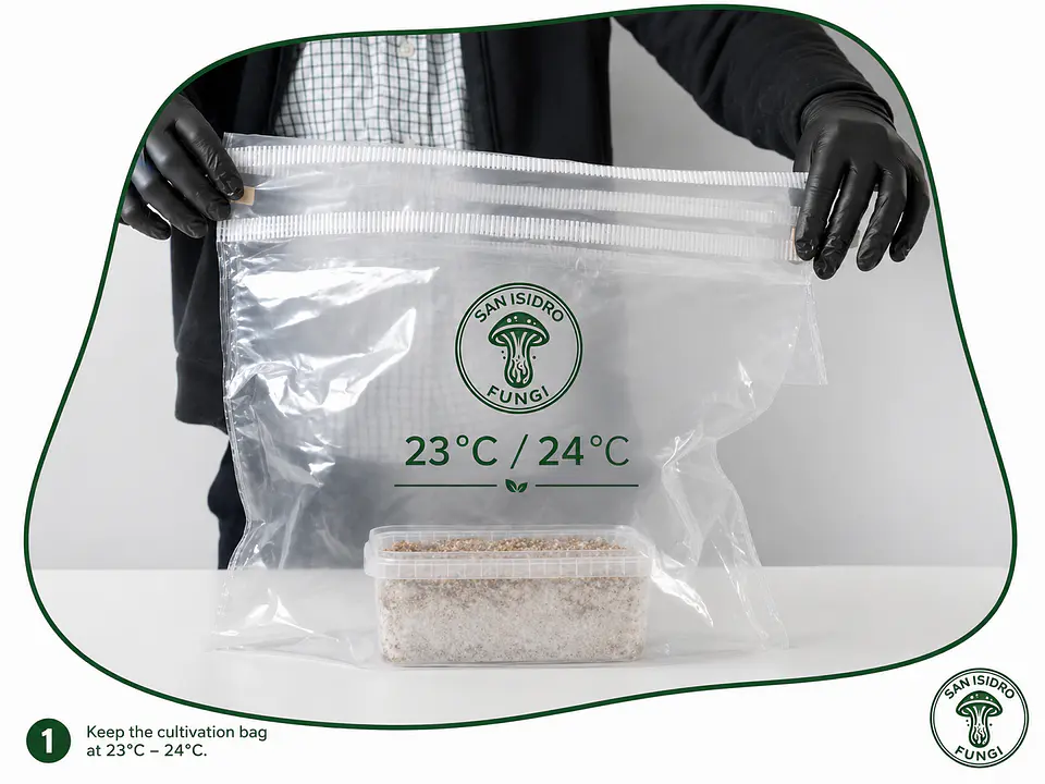 Mycebox Mayorista para Grow Shops — San Isidro 7