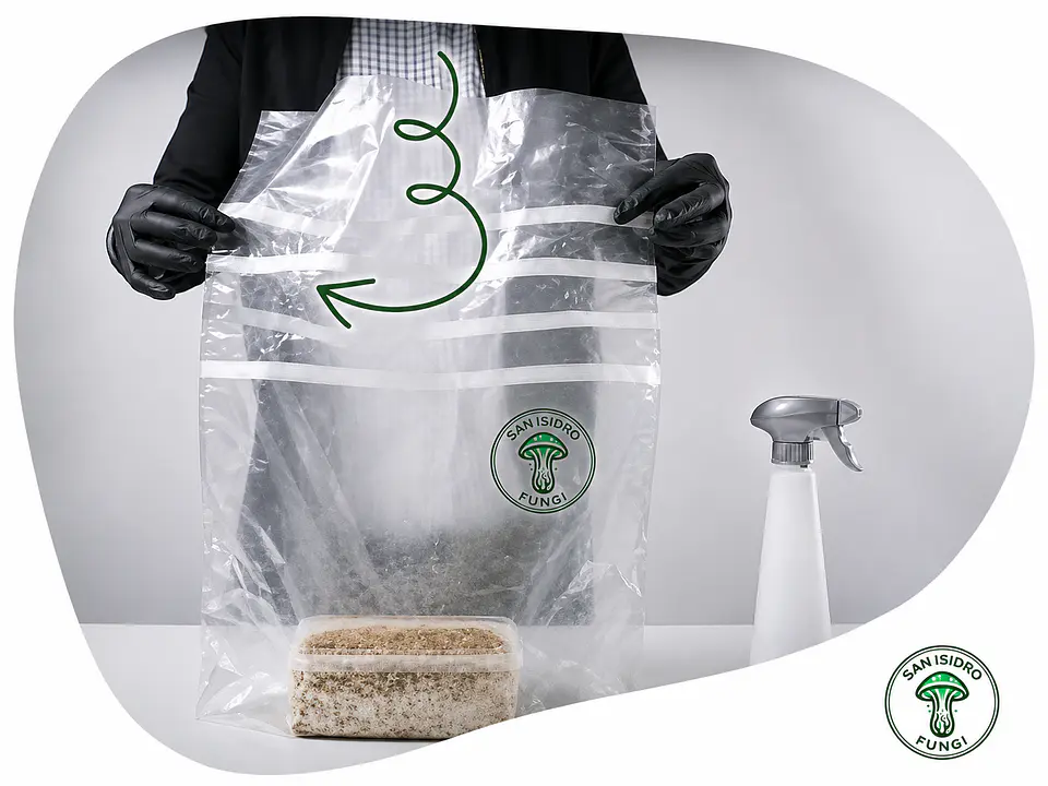 Mycebox Mayorista para Grow Shops — San Isidro 11
