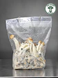 Kit de cultivo Mycebag 500 g - Miniatura 2