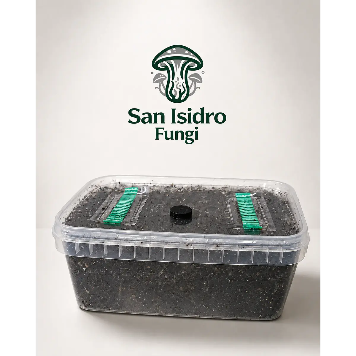 Sistema modular Mycebox San Isidro