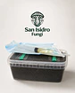 Kit de cultivo controlado Mycebox - San Isidro - Miniatura 1
