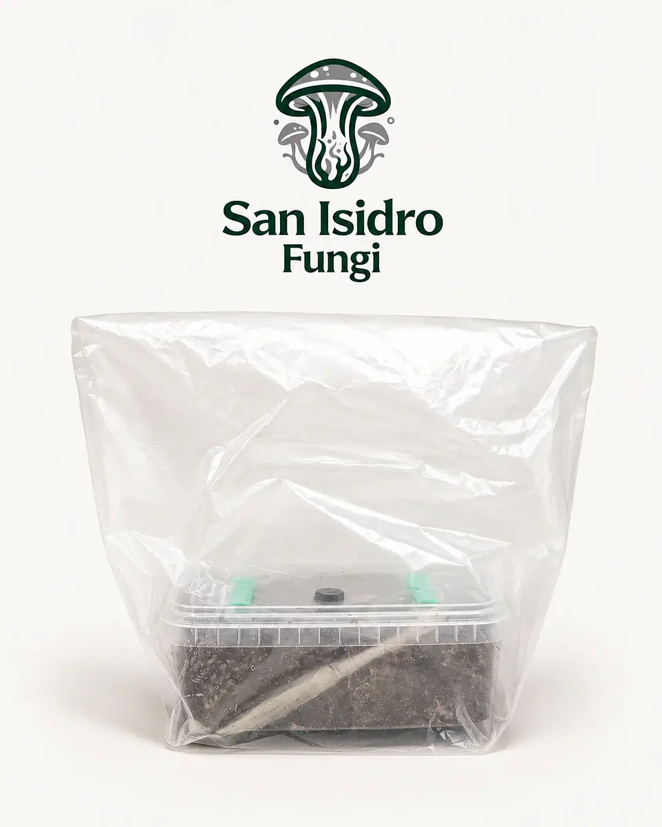 Kit de cultivo controlado Mycebox - San Isidro 2