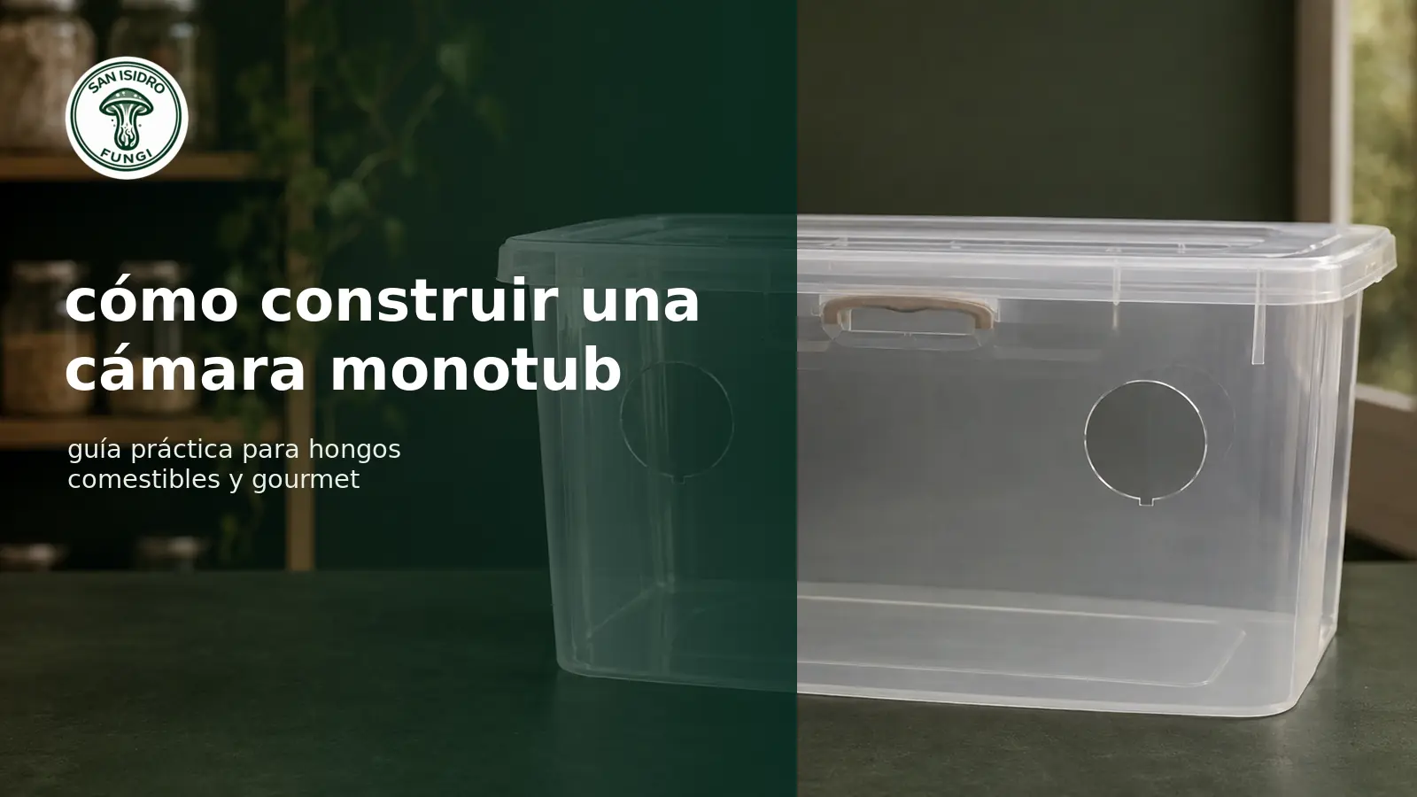 Cómo construir una cámara monotub para hongos comestibles y gourmet