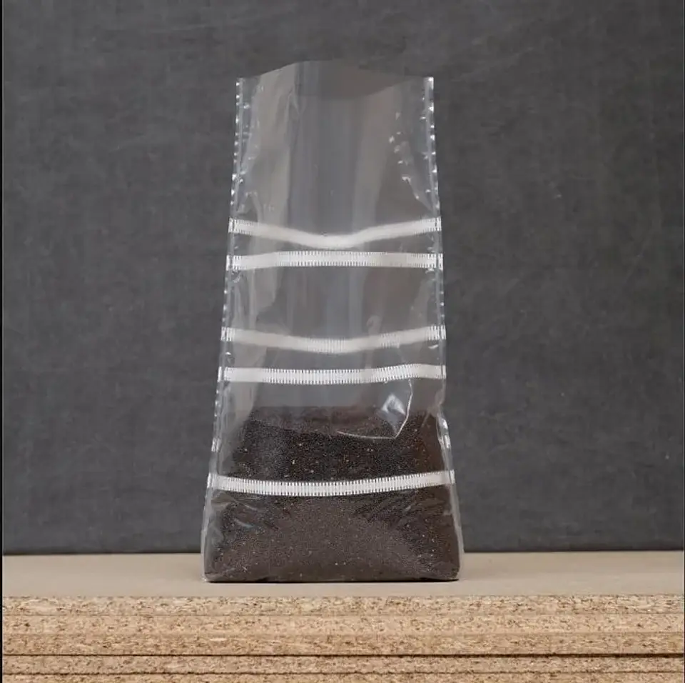 Bolsa para cultivo de hongos SAC O2 1 kg 1