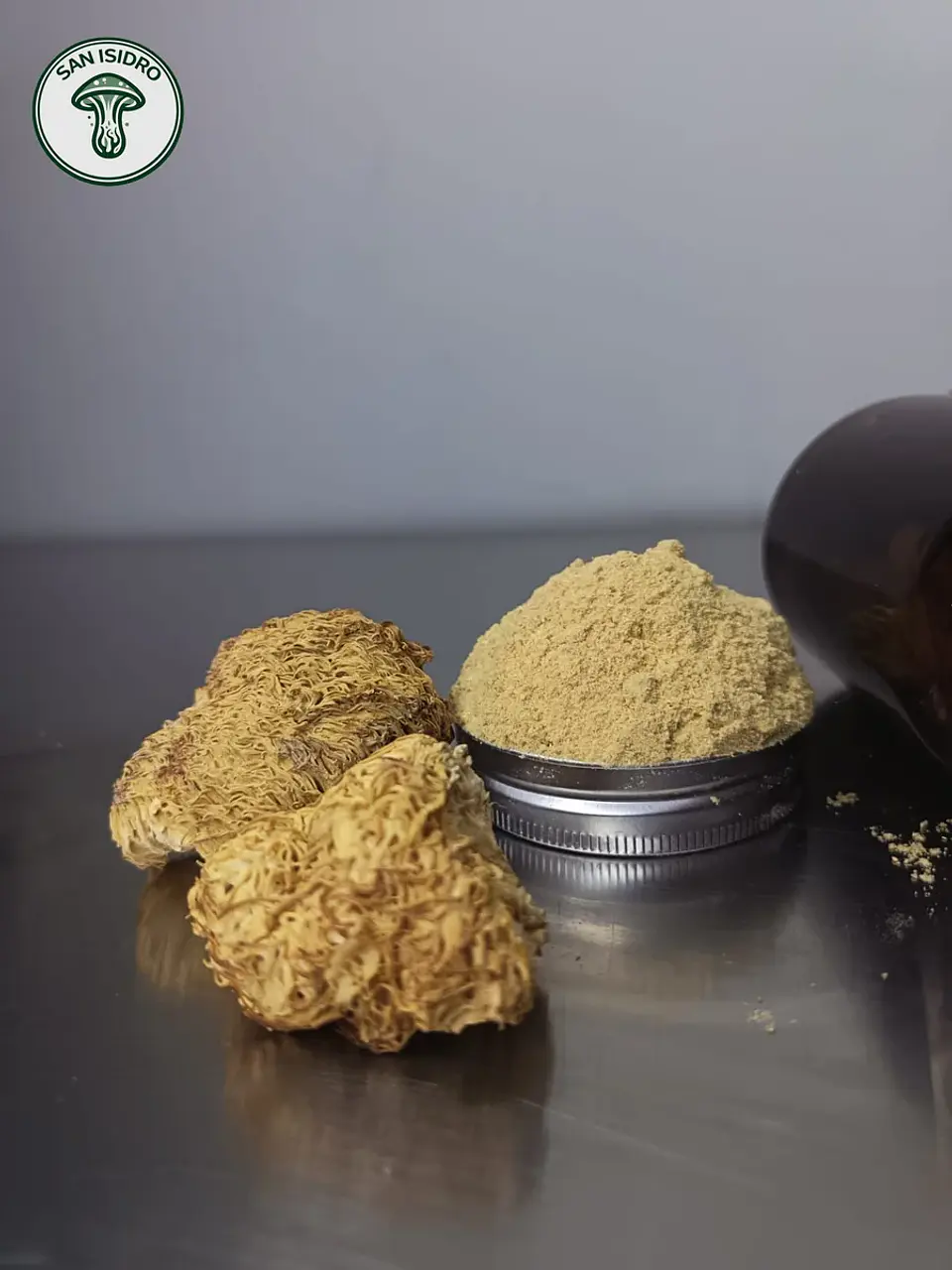 Melena de León deshidratada 30 g – cultivo propio San Isidro 1
