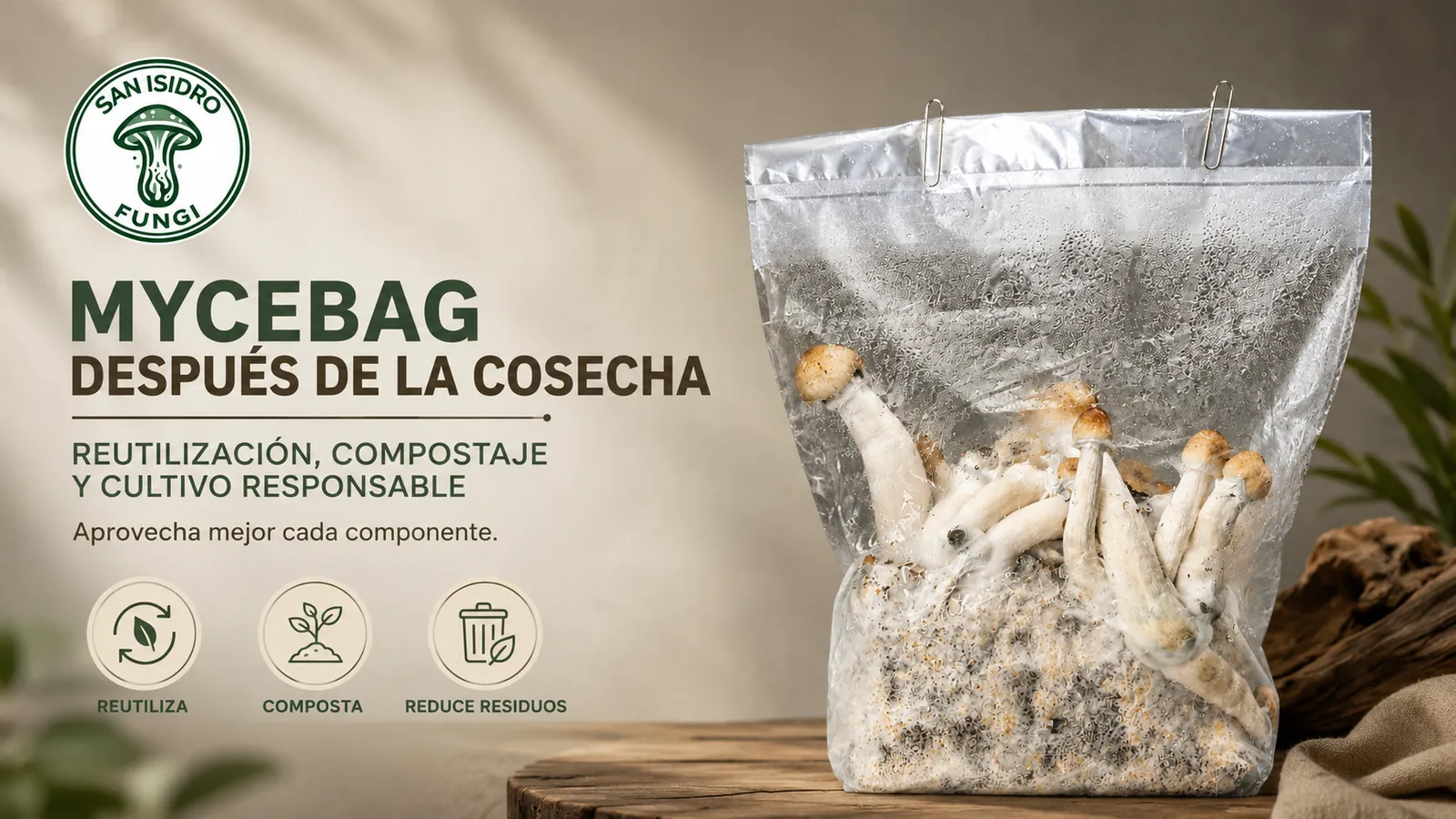 Banner Mycebag después de la cosecha, reutilización, compostaje y cultivo responsable