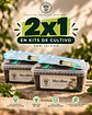 2x1 Mycebox – Sistema de Observación Micológica - Producto Cyber - Miniatura 1