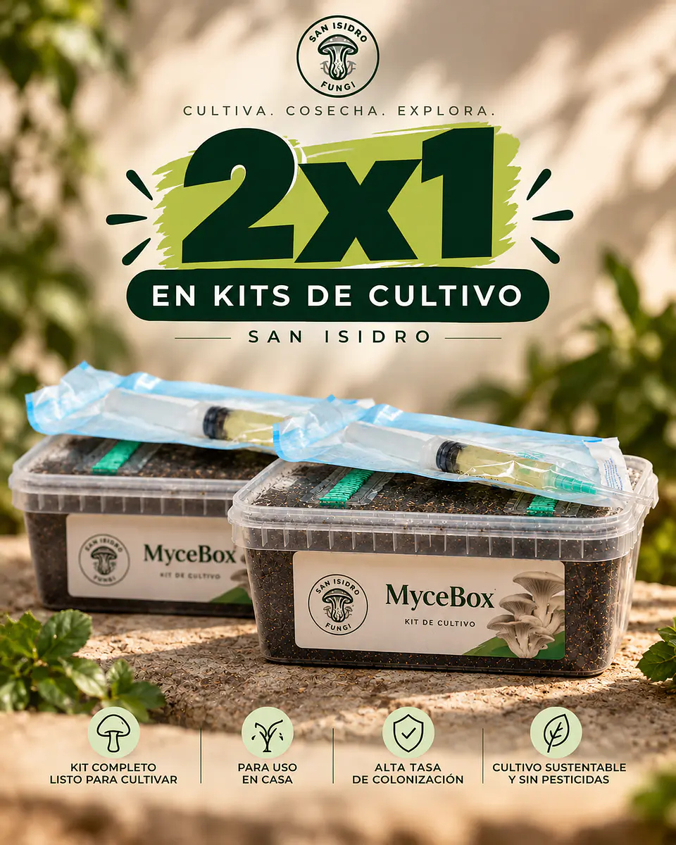 2x1 Mycebox – Sistema de Observación Micológica - Producto Cyber 1