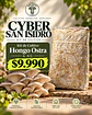 Kit de Hongo Ostra Gris 4 kg colonizado- Producto Cyber - Miniatura 1