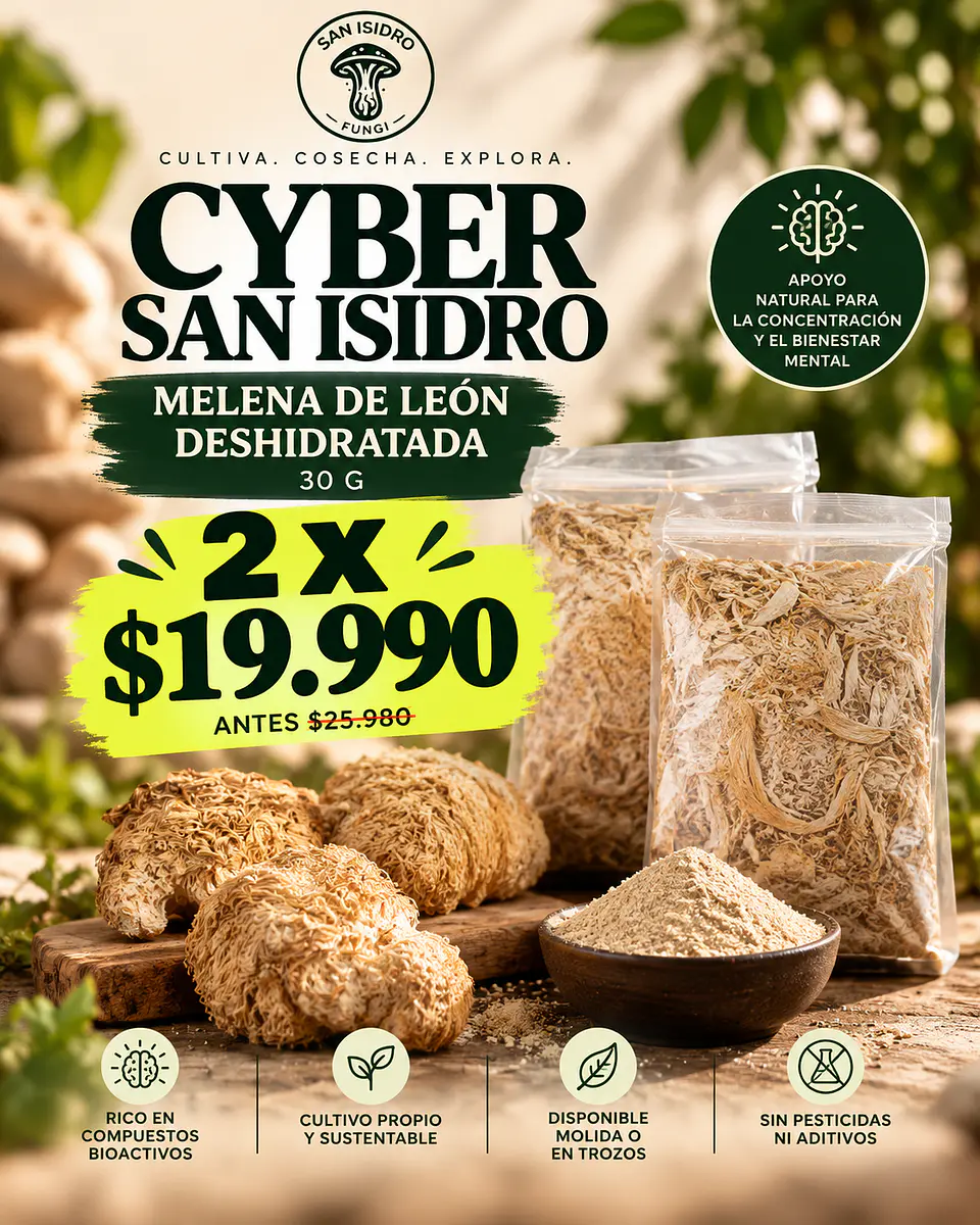 2X Melena de León deshidratada 30 g Producto Cyber 1
