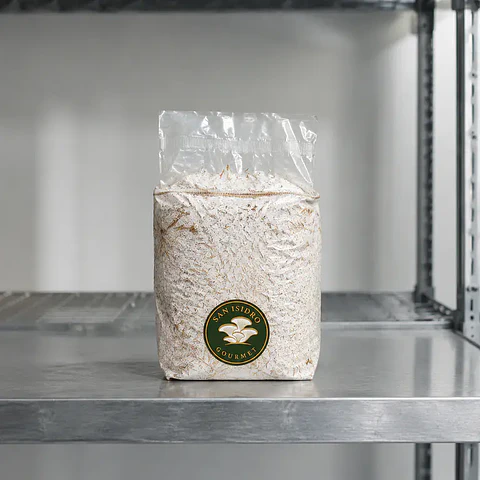 Kit de Cultivo de Melena de León 2 kg