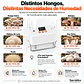 Mini Humidificador Inteligente 275 ml | Control Automático de Humedad - Miniatura 5