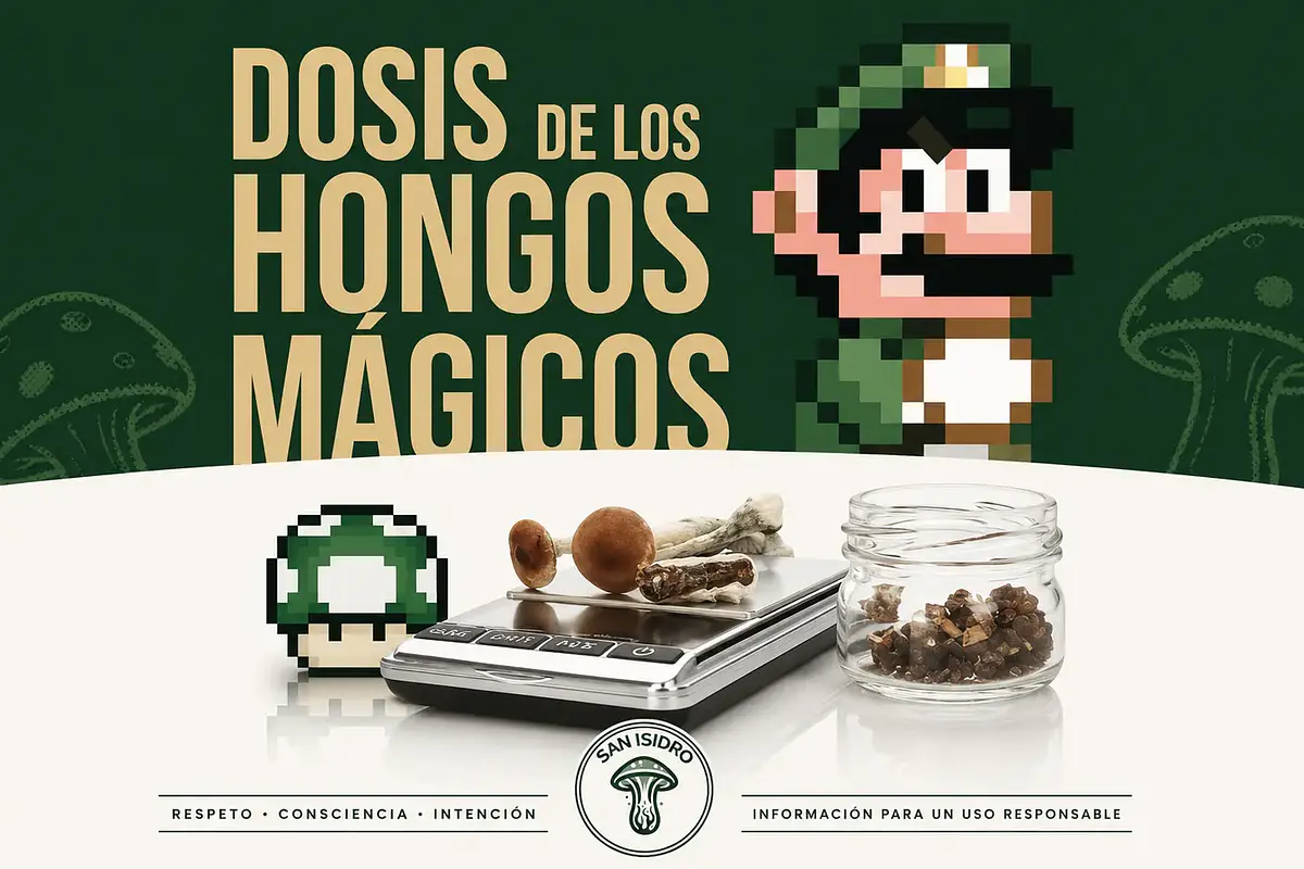 Ilustración educativa sobre dosis e intensidad de los efectos de hongos con psilocibina