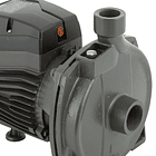 Bomba superficie centrífuga 1,5HP 3