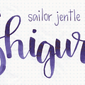 Sailor - Tinta Shikiori 20ml  - Shigure