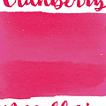 Noodler's - Botella 3 oz - Baystate Cranberry