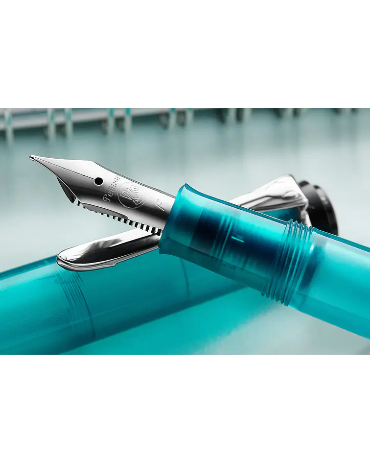 Pelikan 983064 vulpen Classic M 200 vergulde roestvrijstalen veer veerbreedte M, 1 stuk, zwart