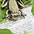 Esterbrook - Tree Frog Page Clip
