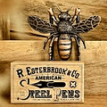Esterbrook - Marcador de Libro bee Rose Gold 