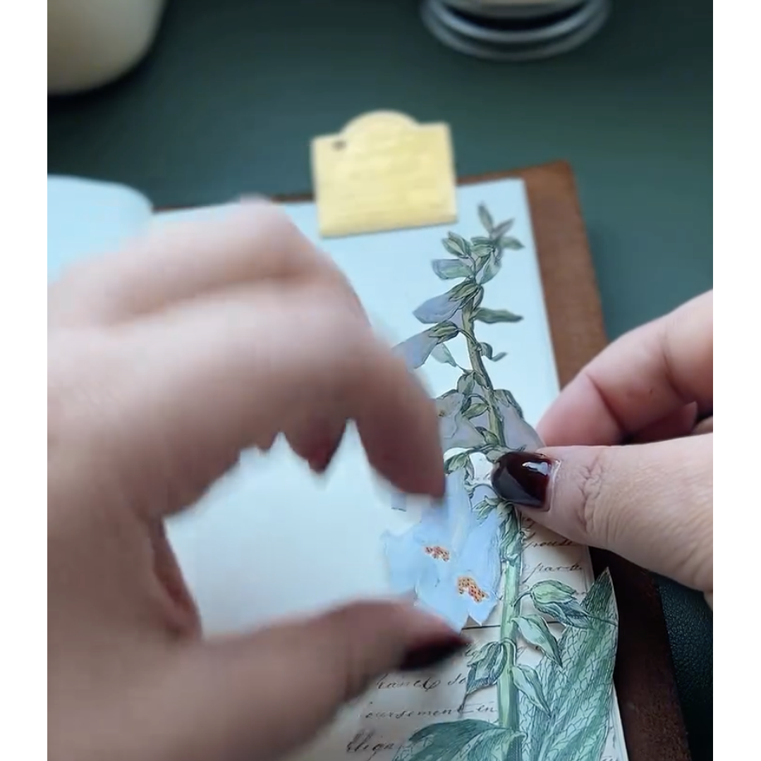 Workshop de Journaling Creativo con Andrea (@winterblue.cl) 3