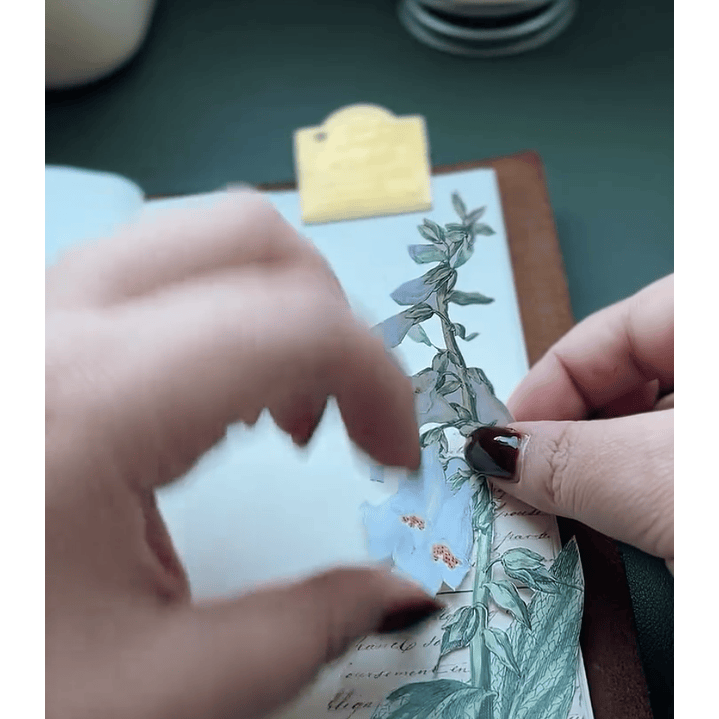 Workshop de Journaling Creativo con Andrea (@winterblue.cl) 3