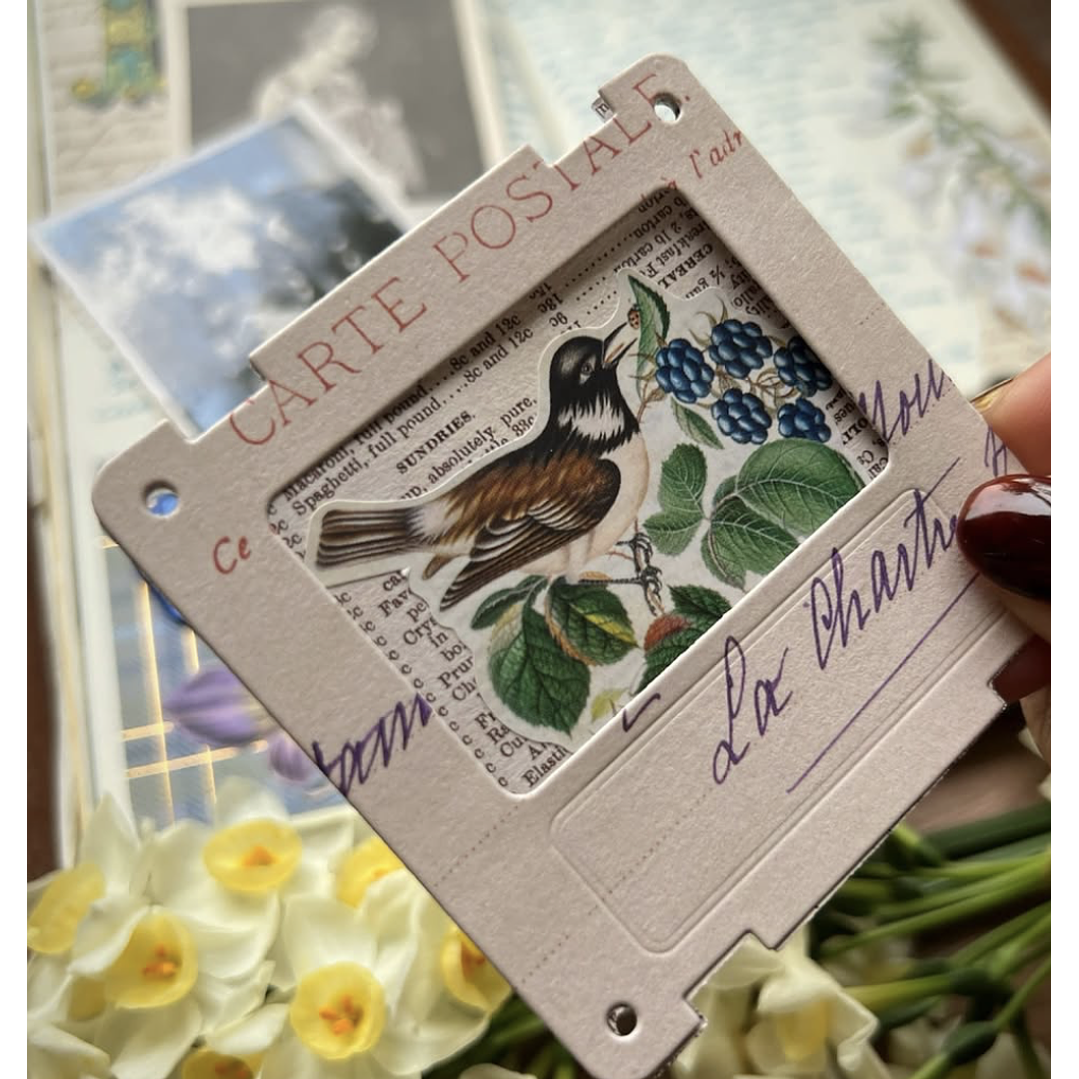 Workshop de Journaling Creativo con Andrea (@winterblue.cl) 5