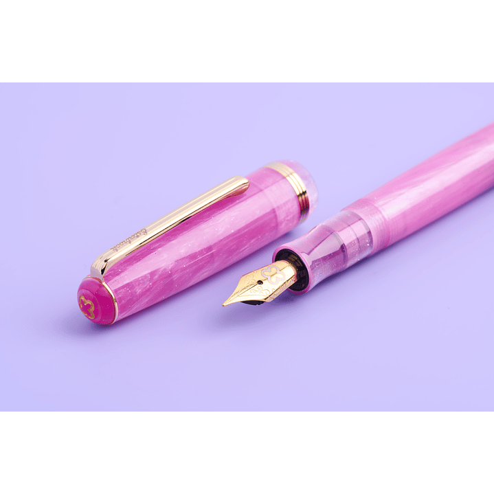 Esterbrook JR Pocket Pen Love Potion Fountain Pen 4