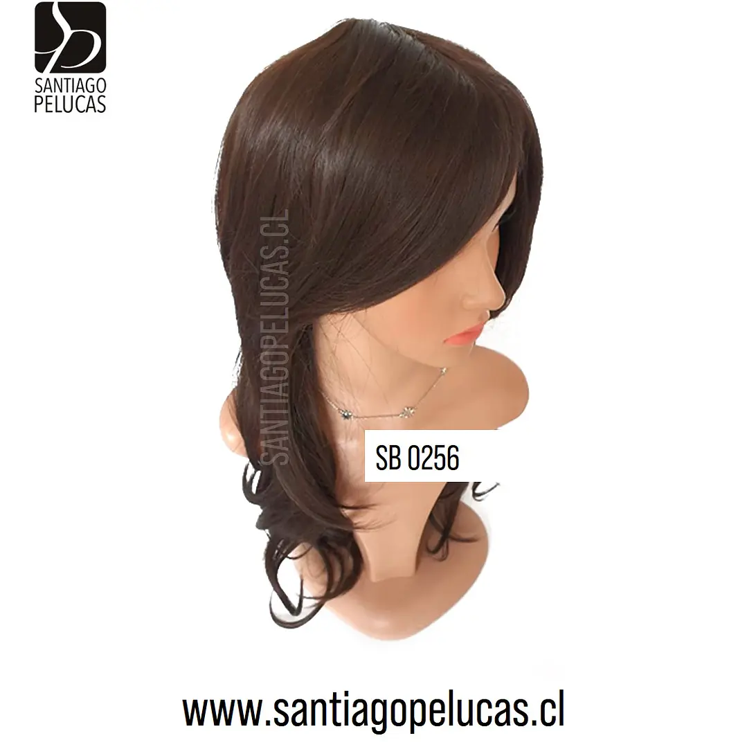 SB 0256 IRENE CASTAÑO 3