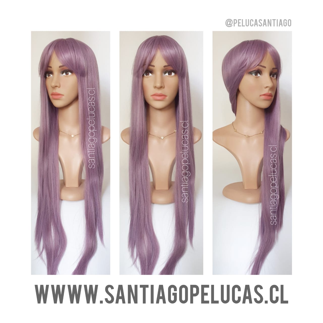 SB0787 CENTAURUS PREMIUM LILA