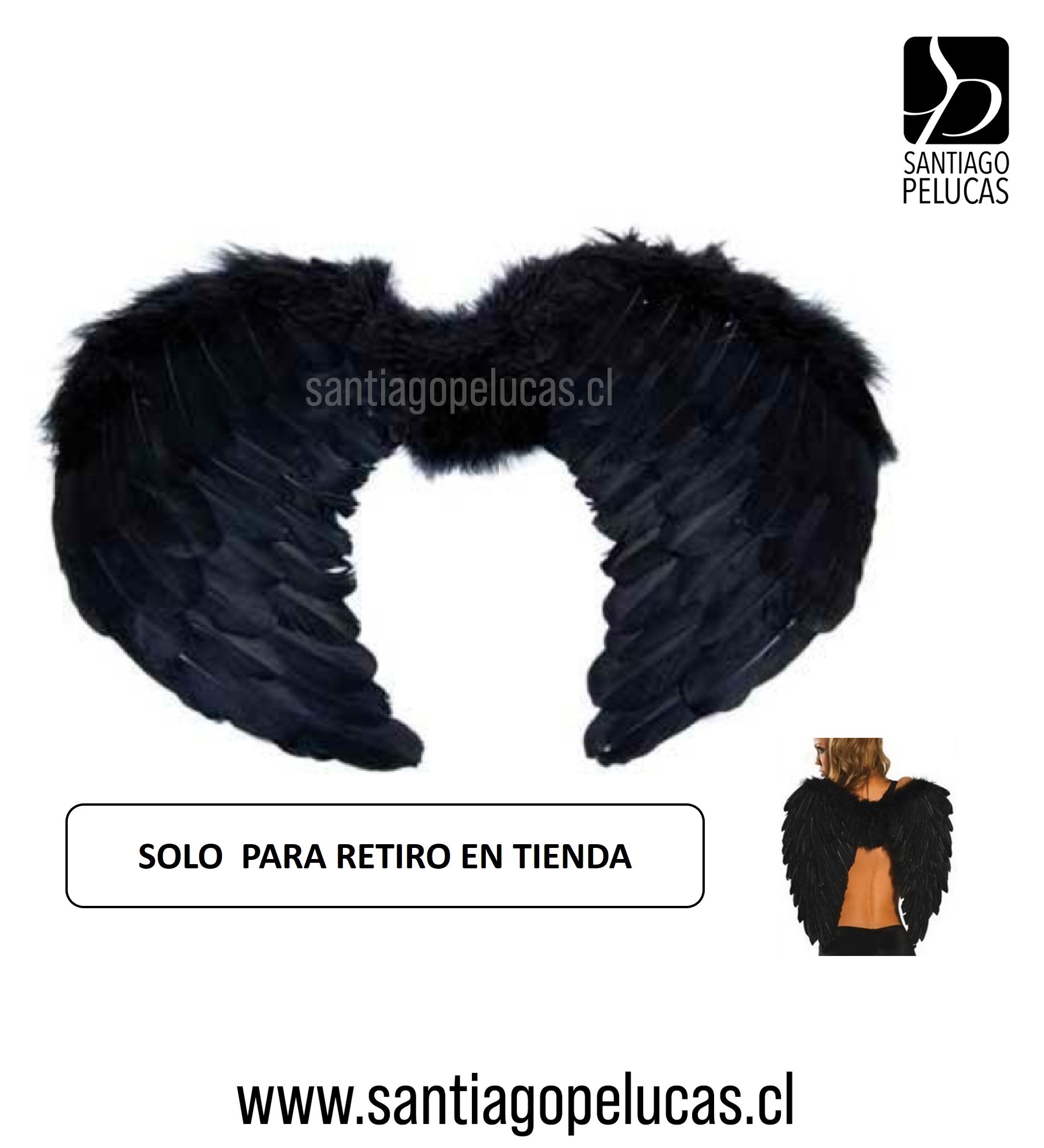 ALAS DE ANGEL NEGRO
