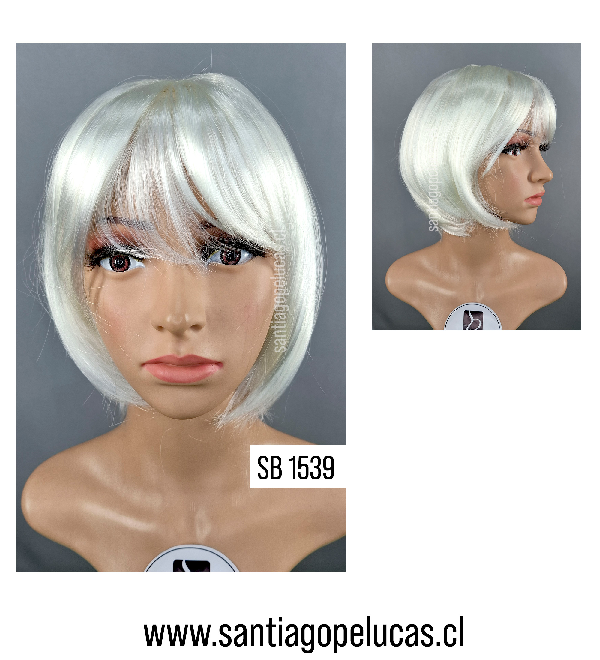 SB 1539 DRACO CORTA BLANCO