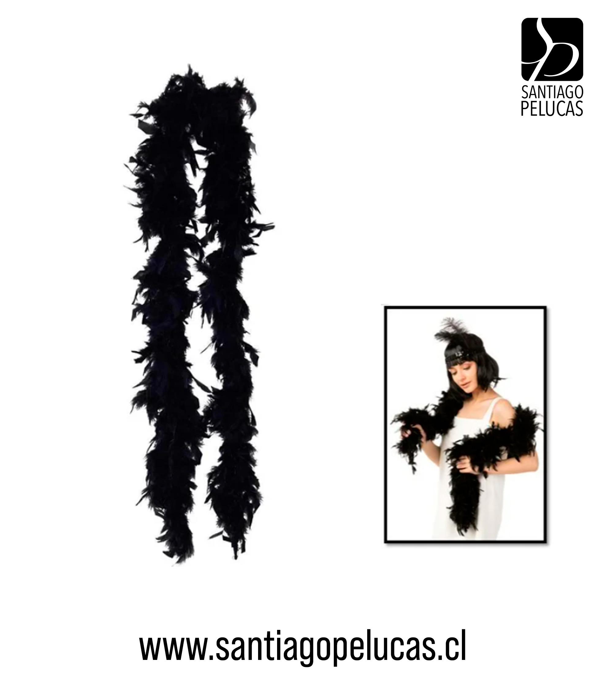 BOA DE PLUMAS NEGRA