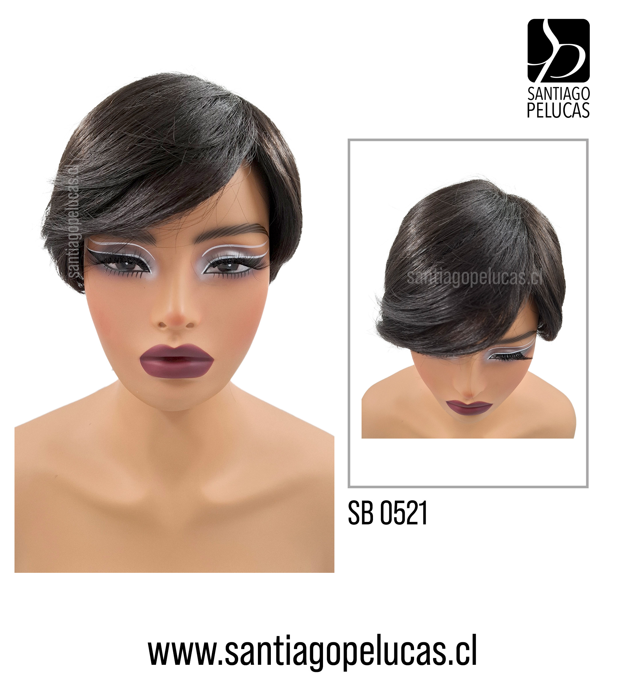 SB0521 COLUMBA NEGRO