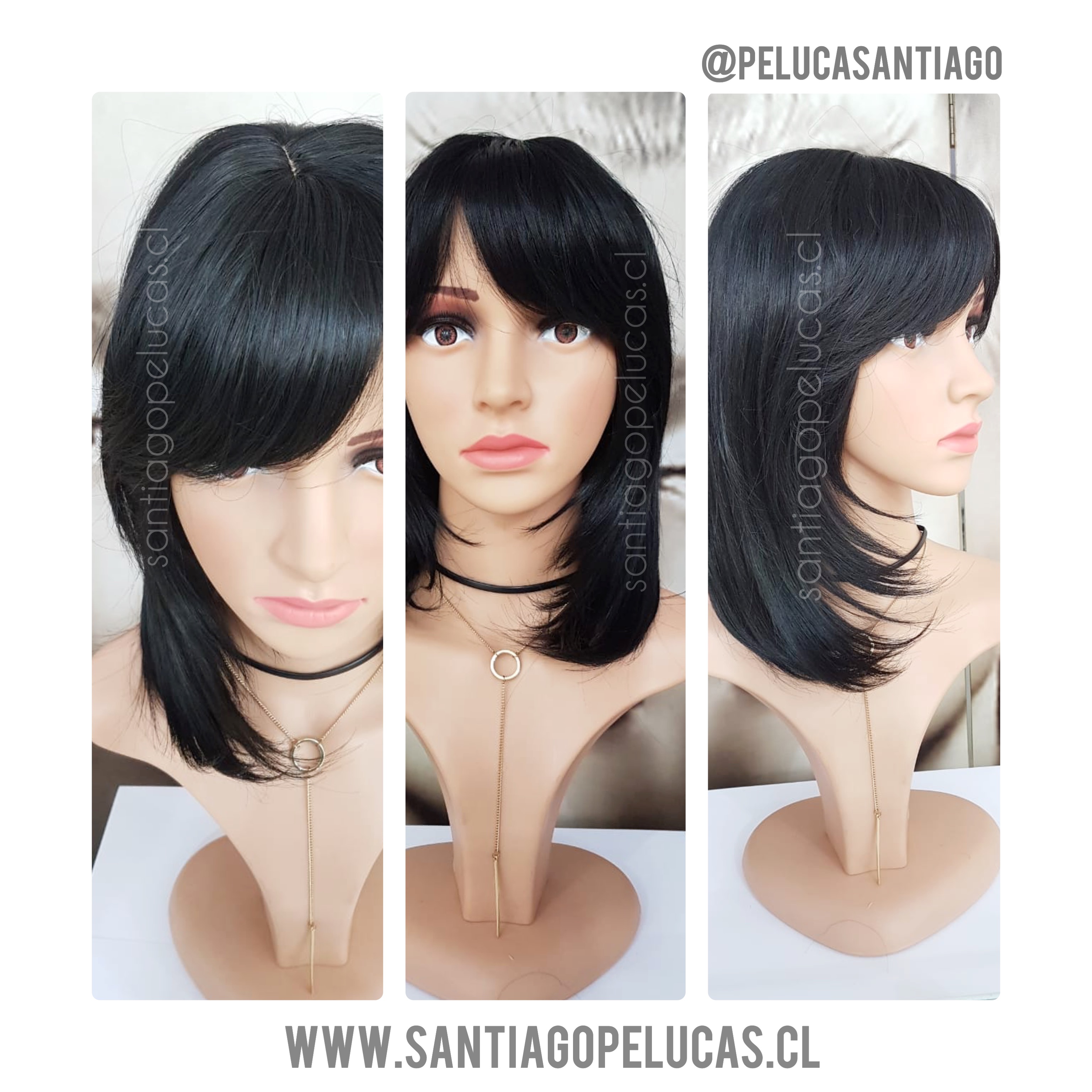 SB0014 ANTLIA NEGRO