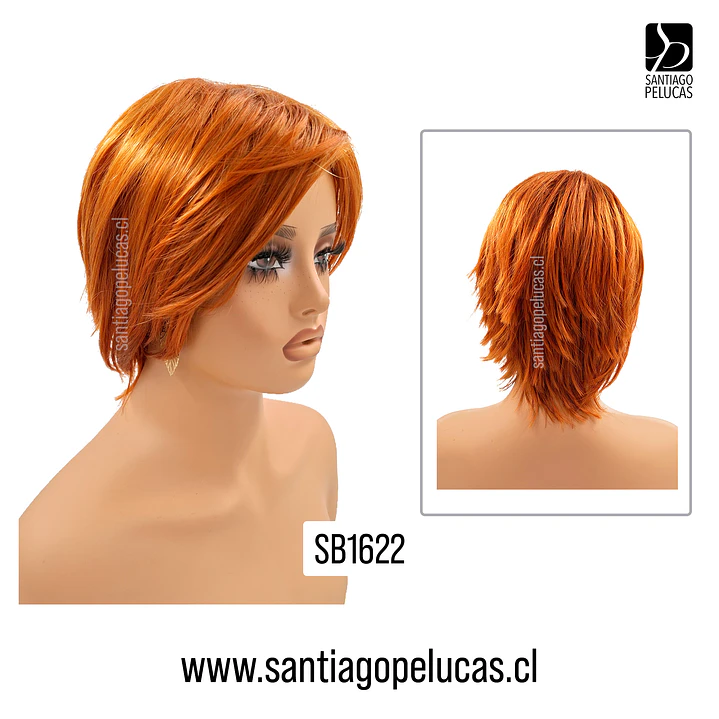 SB1622 RON WEASLEY 3