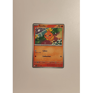 Torchic - 040/182 - 