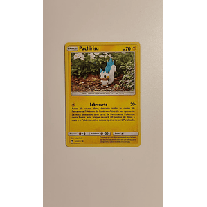 Pachirisu - 80/214 - portugués 