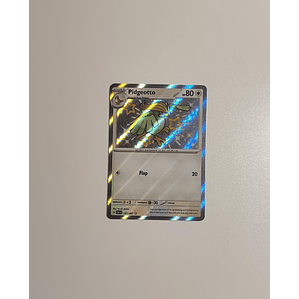 Pidgeotto - 197/091 - 
