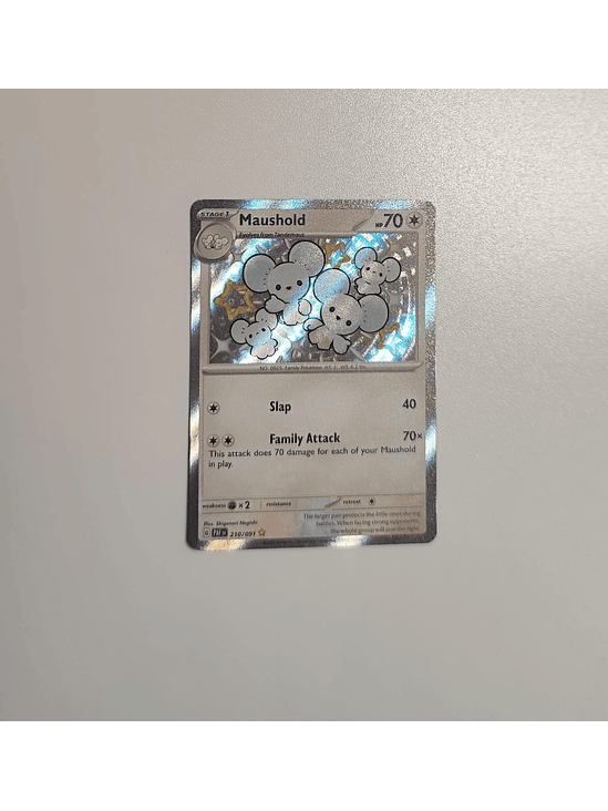 Maushold - 210/091 - 1