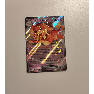 Dachsbun ex - 067/142 - 