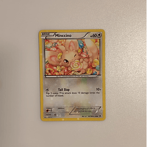 Minccino - RC18/RC25 - 