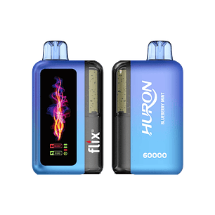 Flix Huron Blueberry Mint 60000 Puff