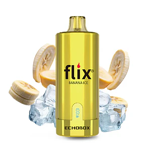 Flix Echobox 12000 Puff