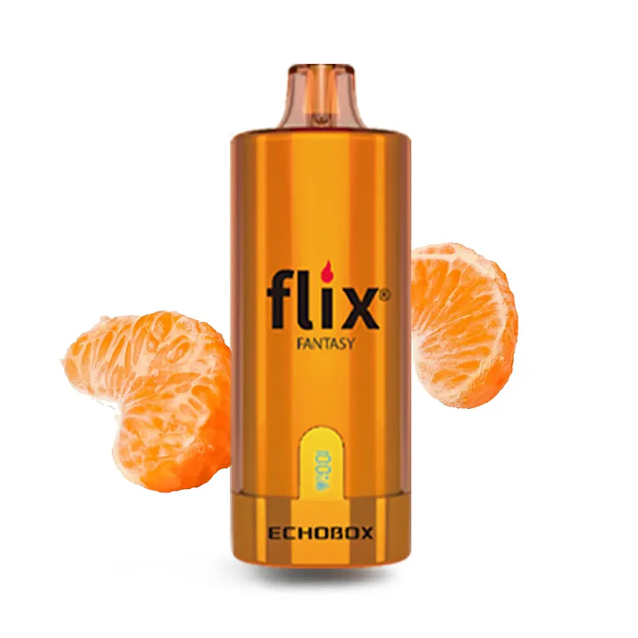 Flix Echobox 12000 Puff 7