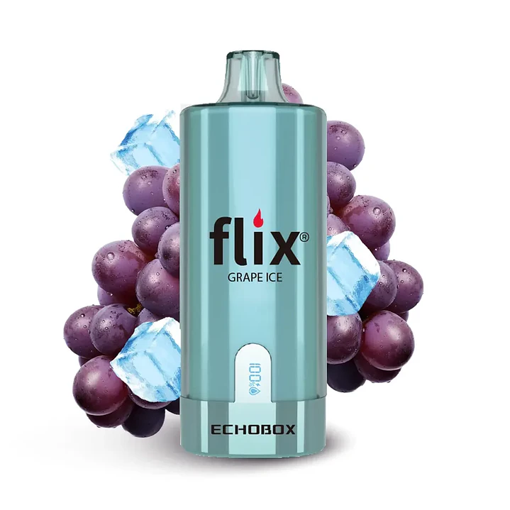 Flix Echobox 12000 Puff 8