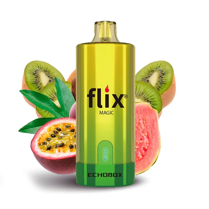 Flix Echobox 12000 Puff 10