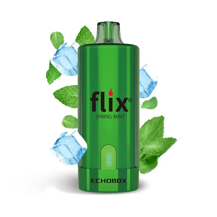 Flix Echobox 12000 Puff 11