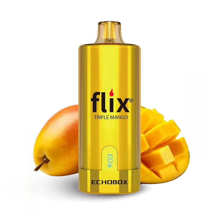 Flix Echobox 12000 Puff 14